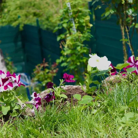 Vista Old Town Vikendica *