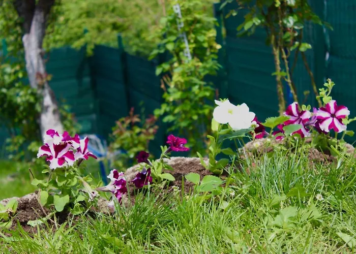 Vista Old Town Сasa de vacaciones *